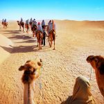 Safari to Jaipur with Ranthambore Ajmer 