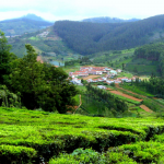 4N/5D- Mysore Ooty Tour
