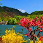 Heaven on Earth - Kashmir