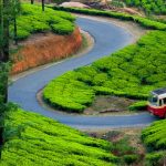 2N/3D- Misty Munnar Tour