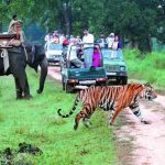 5N/6D Nainital Corbett Tour Bonanza